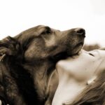 quel chien choisir-15 objet chien