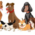 Quel Chien Choisir Pour Votre Famille