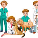 assurances pour chiens en 2024